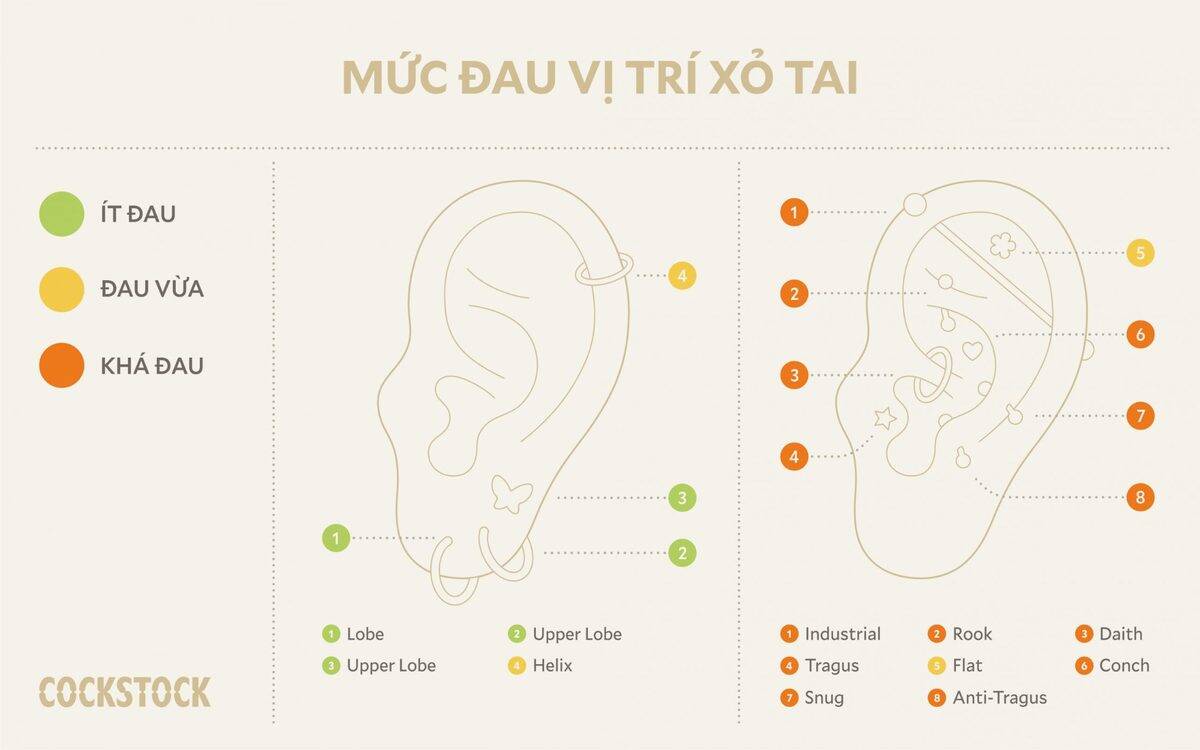 Mức đau vị trí xỏ tai — Pain chart