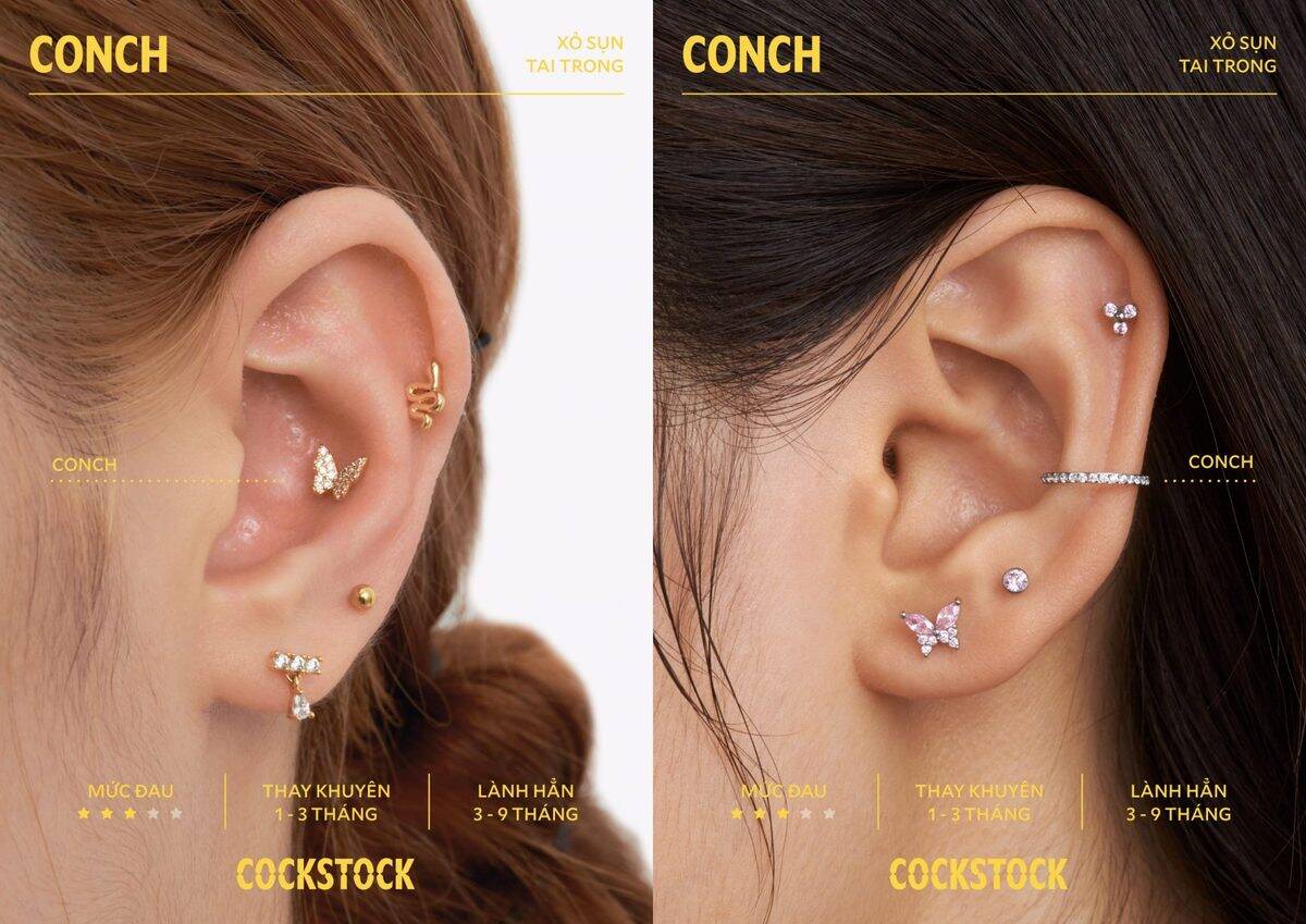 Conch piercing detail