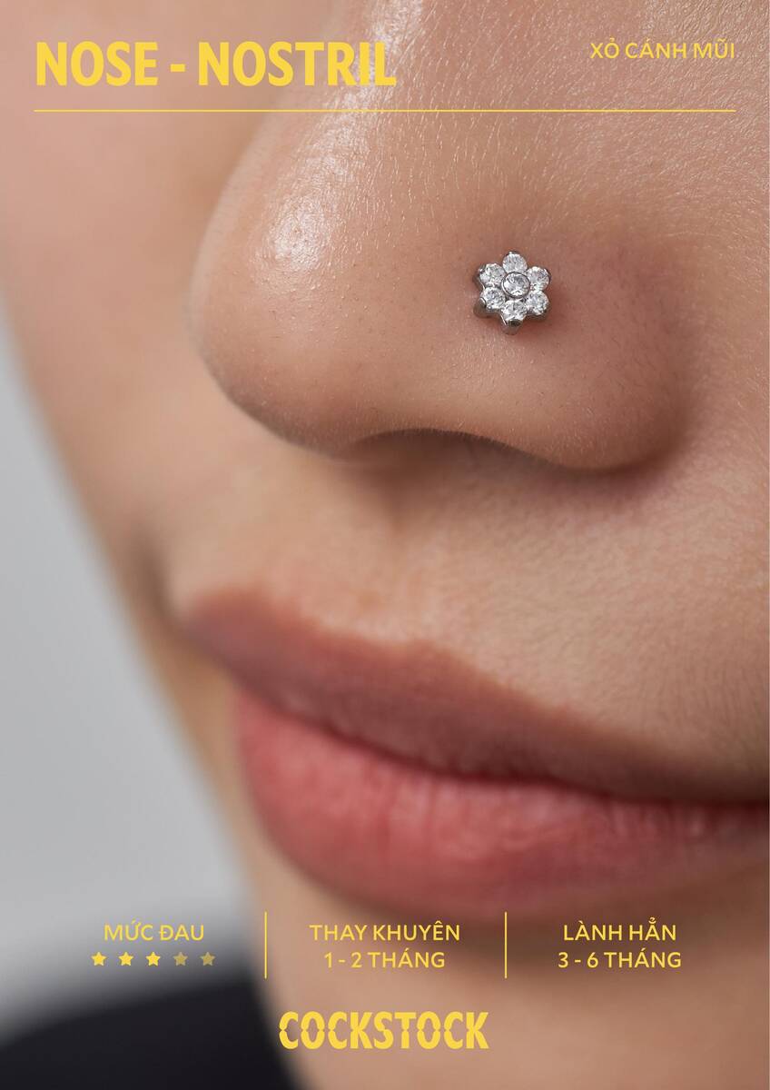 Body position page 40