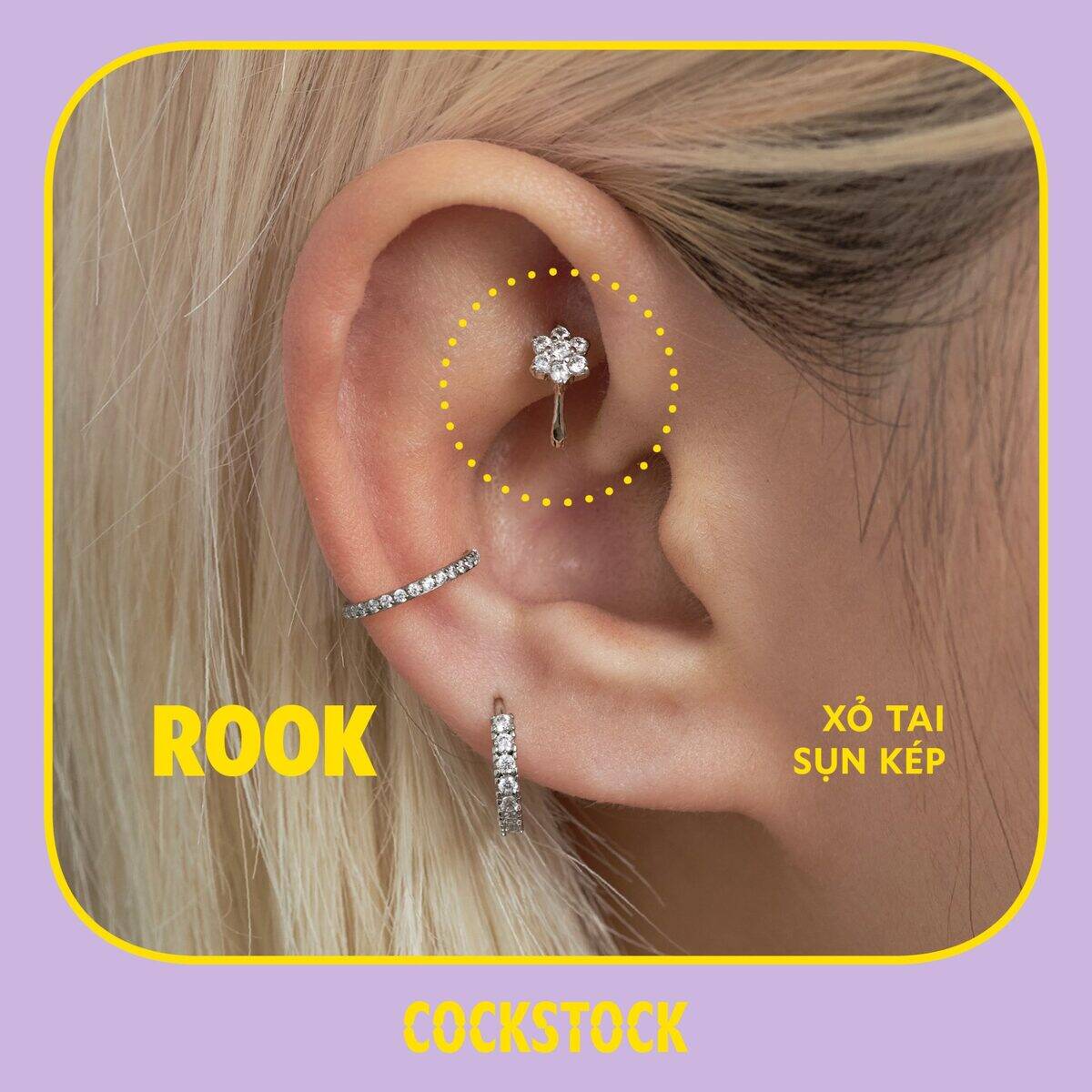Rook — xỏ tai sụn kép, COCKSTOCK branded