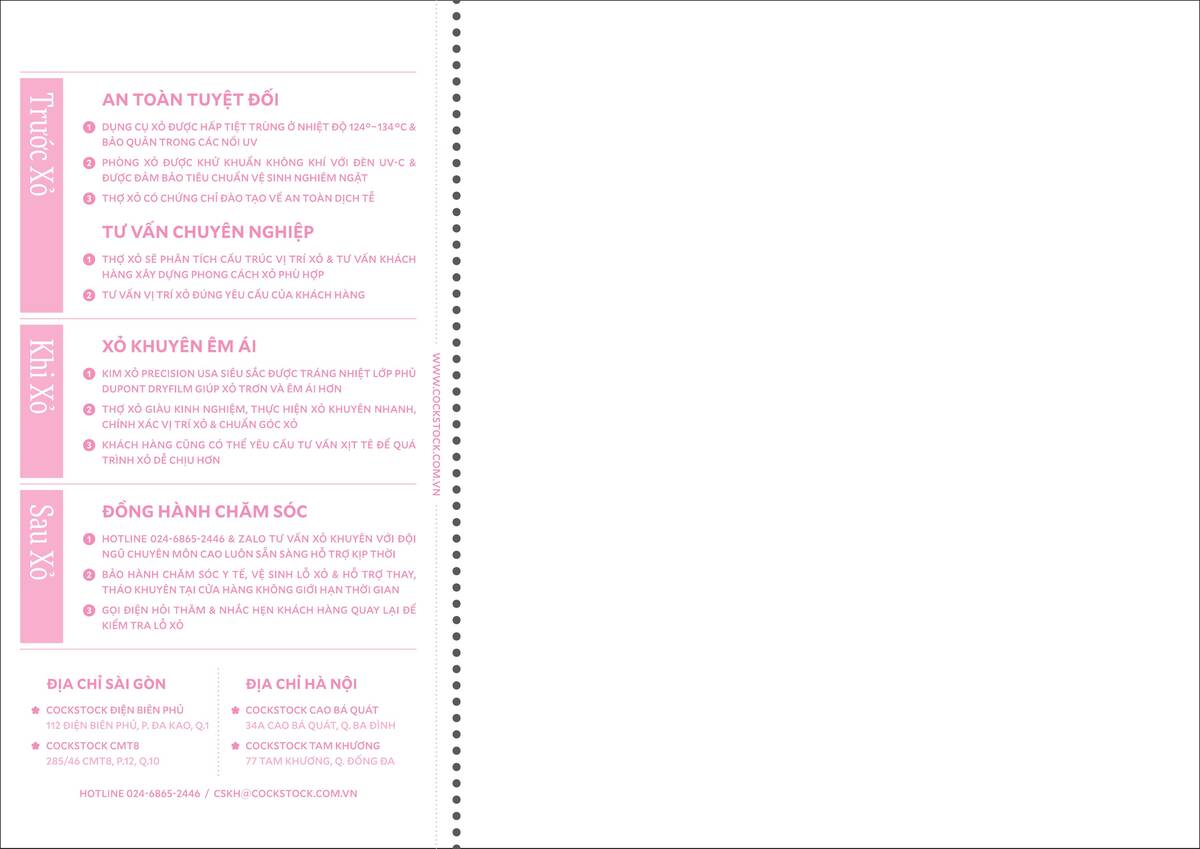 v6 Pink — Service Experience